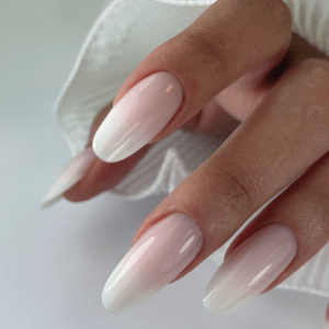 Édition 2026 - Formation Débutante